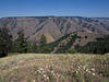 Sample image from gallery